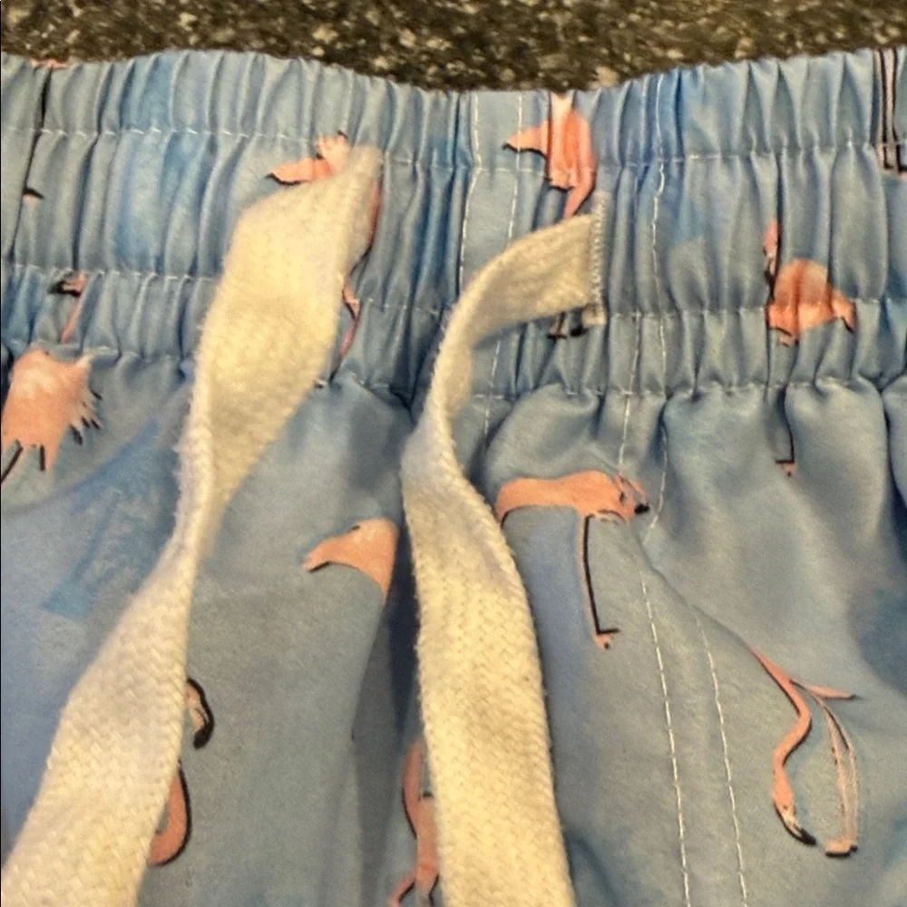 Blue Flamingo Print Swim Trunks with Pink Liner